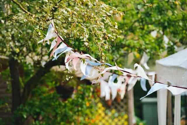 Bunting strung from a tree